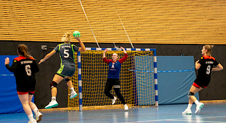 VFL Sittensen, Sportverein, der Platz für Vielfalt