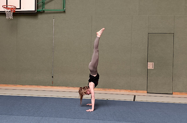 VFL Sittensen, Sportverein, der Platz für Vielfalt