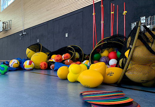 VFL Sittensen, Sportverein, der Platz für Vielfalt