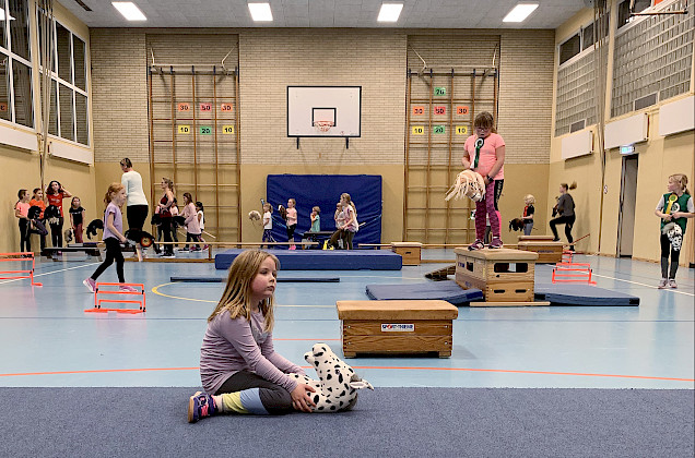 VFL Sittensen, Sportverein, der Platz für Vielfalt VFL Sittensen, Sportverein, der Platz für Vielfalt