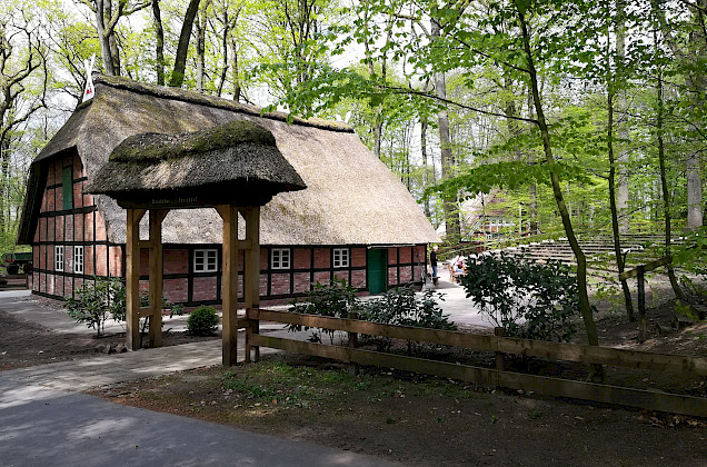 VFL Sittensen, Sportverein, der Platz für Vielfalt