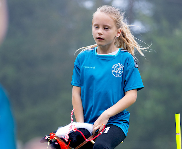 VFL Sittensen, Sportverein, der Platz für Vielfalt VFL Sittensen, Sportverein, der Platz für Vielfalt