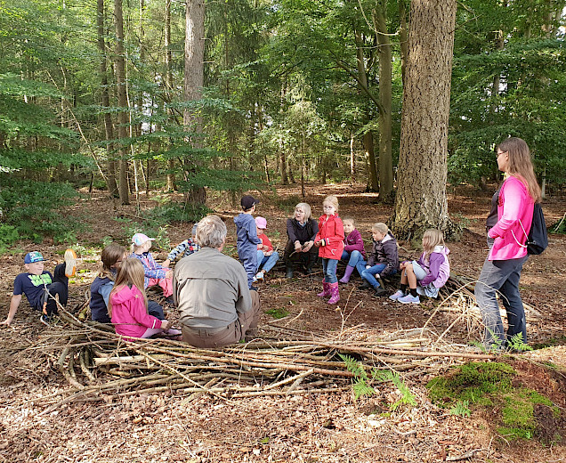 VFL Sittensen, Sportverein, der Platz für Vielfalt