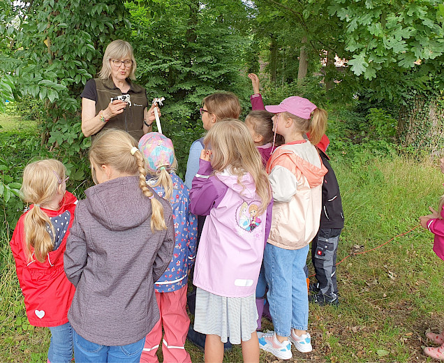 VFL Sittensen, Sportverein, der Platz für Vielfalt