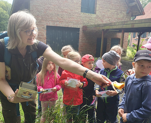 VFL Sittensen, Sportverein, der Platz für Vielfalt