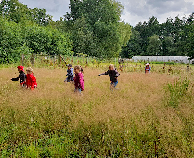 VFL Sittensen, Sportverein, der Platz für Vielfalt
