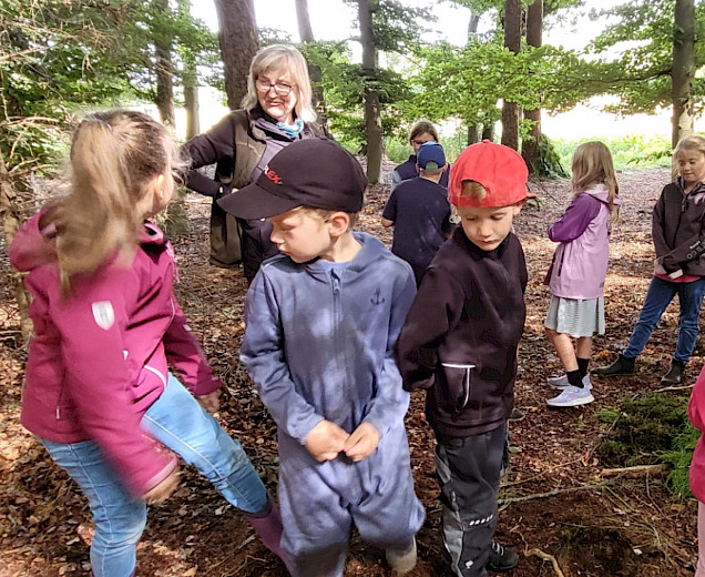 VFL Sittensen, Sportverein, der Platz für Vielfalt