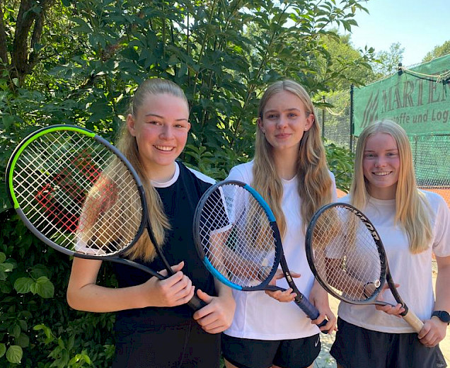 VFL Sittensen, Sportverein, der Platz für Vielfalt