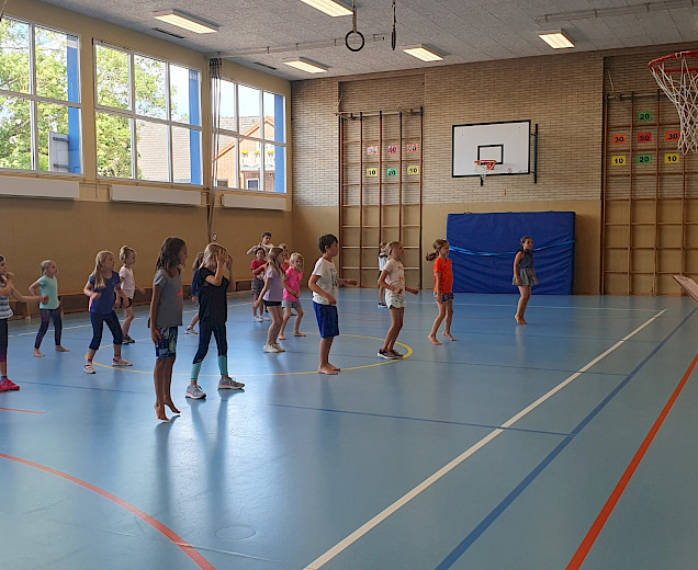 VFL Sittensen, Sportverein, der Platz für Vielfalt