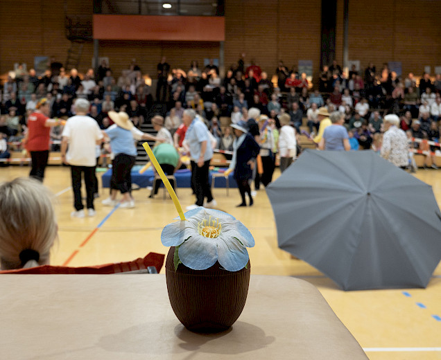 VFL Sittensen, Sportverein, der Platz für Vielfalt VFL Sittensen, Sportverein, der Platz für Vielfalt